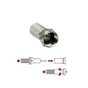 Lot de 10 fiches f, mâle, LEXMAN
