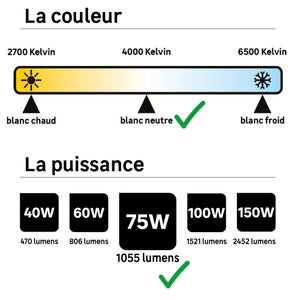 Ampoule led à filament, LEXMAN, E27, 1055Lm = 4.9 watts