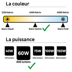 Ampoule led à filament E27, 806Lm = 3.8W, LEXMAN