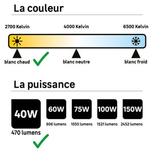 Ampoule led à filament, globe 80mm, E27, 470lm = 40W, blanc chaud, LEXMAN