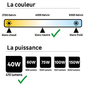 Ampoule led à filament, globe 80mm, E27, 470lm = 40W, blanc neutre, LEXMAN