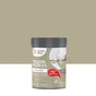 Peinture Relook meuble MAISON DECO vert tilleul satine 200 ml