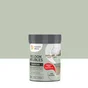 Peinture Relook meuble MAISON DECO vert celadon satine 200 ml