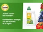 Décoction de prêles SOLABIOL 1 l