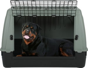 Cage transport chien / chat travel plastique recyclé l