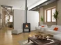 Poêle à bûche Paul bucher noir, 10 kW