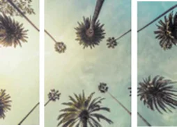 Triptyque toile imprimée Palmiers