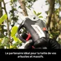 Sécateur sur batterie STERWINS 4V 18mm avec batterie