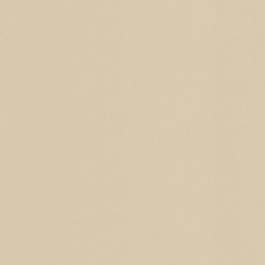 Papier peint intissé Lisse mat INSPIRE beige falaise