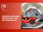 Répulsif ultrasons anti-rats et souris PROTECT EXPERT