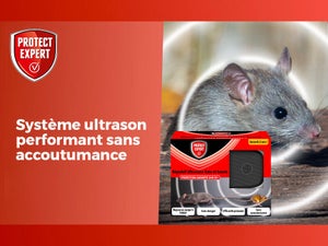 Répulsif ultrasons anti-rats et souris PROTECT EXPERT