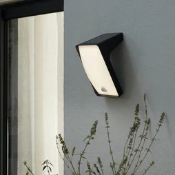 Applique extérieure solaire Algoa, détection, 1200 lumens, 4000K, anthracite, INSPIRE