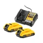 Lot de 2 batteries et 1 chargeur DEWALT, 18 V, 2 Ah Dcb1104d2-qw lithium-ion