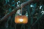 Applique lampe extérieur Lanoa, led, bambou, 1300 lumens, 3000K, Inspire