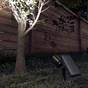 Spot solaire, INSPIRE, 100 lumens, noir