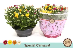 Mix pot de 4 l, H.25 cm
