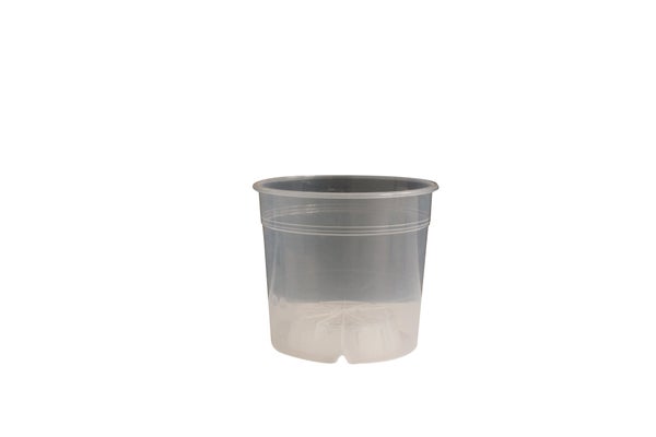Minima, H.20.0 cm, Diam.1400 cm