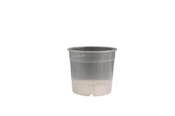Minima, H.20.0 cm, Diam.1400 cm