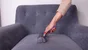 Brosse Anti Poils Avec Reservoir Et Led Fur Daddy