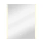 Miroir lumineux rectangulaire l.60 x H.70 cm Easy, anti-buée, variateur intensité