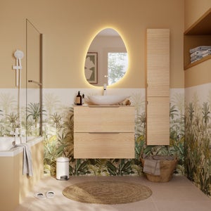 Miroir lumineux galet l.60 x H.80 cm Modern, anti-buée, variateur intensité SENSEA