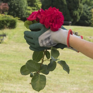 Paire de  gants pour les travaux de jardinage latex, T 10 GEOLIA