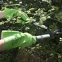 Gants long pour épineux GEOLIA T9 L