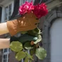 Paire de gants pour les travaux de jardinage cuir, T 8 GEOLIA 