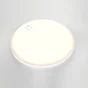 Hublot extérieur, led intégré, rond ezy detection, 25cm, 1620lm, ip54, blanc, INSPIRE