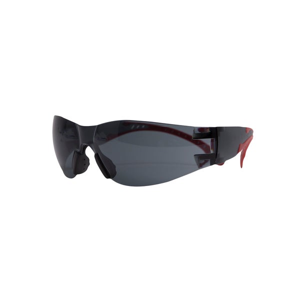 Surlunettes DEXTER, verres teintés antirayures