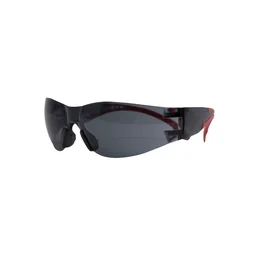 Surlunettes DEXTER, verres teintés antirayures