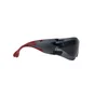 Surlunettes DEXTER, verres teintés antirayures