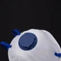 Lot de 10 masques jetables contre la poussière ffp2 DEXTER