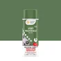 Peinture aérosol relook tout MAISON DECO vert ral 6011 satiné 0.400 L