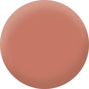 Peinture aérosol relook tout MAISON DECO laterite poudré 0L4