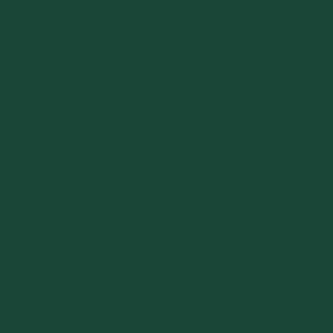 Peinture aérosol Color touch DULUX VALENTINE vert basque RAL 6005 brill 0.4l