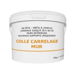 Colle en pate, interieur, blanc, 25KG