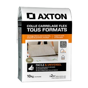 Colle en poudre sol/mur, interieur/exterieur, easy, gris AXTON 10KG