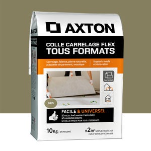 Colle en poudre sol/mur, interieur/exterieur, easy, gris AXTON 10KG