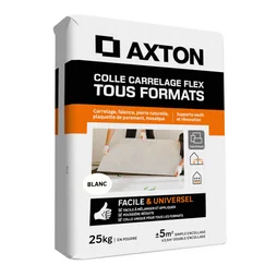 Colle en poudre sol/mur, interieur/exterieur, easy, blanc AXTON 25KG