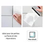Colle et joint pate, interieur, blanc AXTON 0.34KG