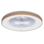 Ventilateur de plafond avec éclairage led, Estepa, INSPIRE, bois