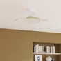 Ventilateur de plafond FURTUNA diam.112cm rétractable cct/dimm bois INSPIRE