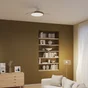 Ventilateur de plafond FURTUNA diam.112cm rétractable cct/dimm bois INSPIRE