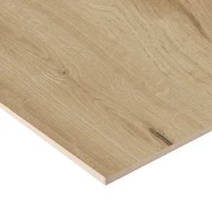 Carrelage sol intérieur effet bois roble Noguera l.120 x L.23.3 cm STN CERAMICA