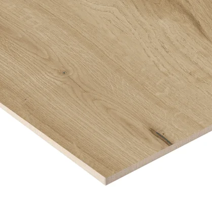 Carrelage sol intérieur effet bois roble Noguera l.120 x L.23.3 cm STN CERAMICA