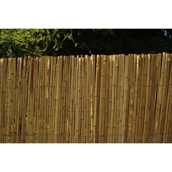 Canisse bambou fendu, IDEAL GARDEN, H.2 x L.3 m