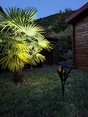 Powerspot 365 Premium 300 Lumen WATT & HOME