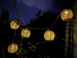 Guirlande solaire 10 led LINDY blanc chaud WATT & HOME