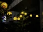Guirlande solaire 10 led LINDY blanc chaud WATT & HOME